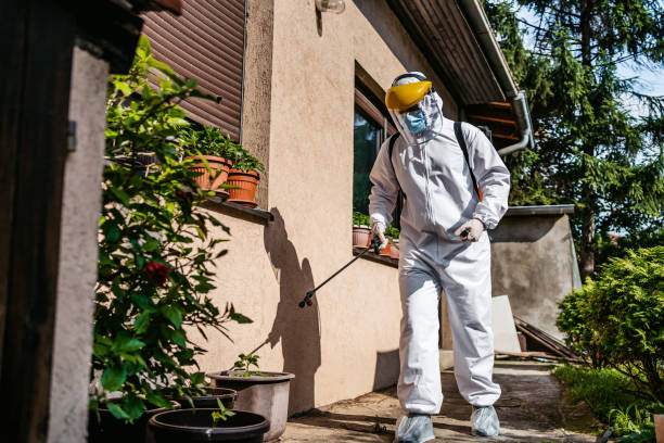 Best Affordable Pest Control Services  in Aquia Harbour, VA