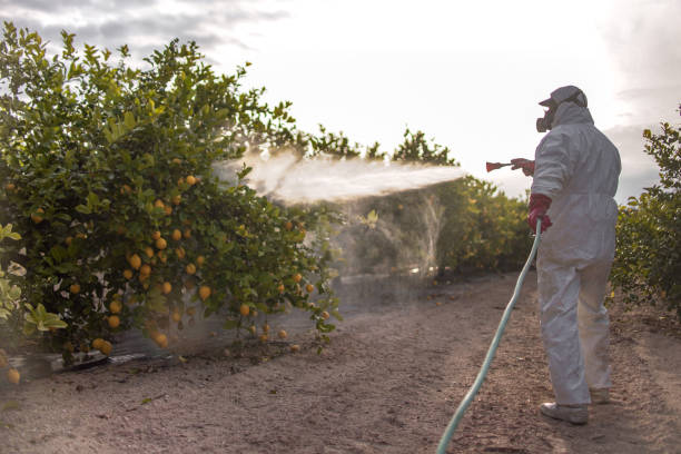 Best Pest Control Treatment  in Aquia Harbour, VA