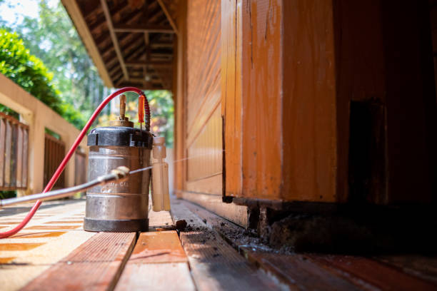 Best Cockroach Control Services  in Aquia Harbour, VA